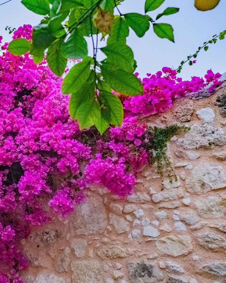 The Venetian Walls 'Central House With Private Courtyard - Charmy & Cheap' Ηράκλειο Κρήτης Εξωτερικό φωτογραφία